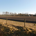 Het “witte goud”in de maak Het “witte goud”in de maak