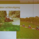 Vincent en Ans strijden voor bijen en vlinders Vincent en Ans strijden voor bijen en vlinders