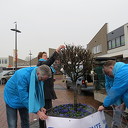Gemeentebelangen fleurt Kroonplein op Gemeentebelangen fleurt Kroonplein op