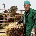 Eerst dier’n voer’n dan tammé stemm Eerst dier’n voer’n dan tammé stemm