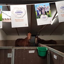 Clubactie: stem op `t Olde Manegepeerd Clubactie: stem op `t Olde Manegepeerd