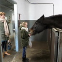 Je kunt weer paarden knuffelen tevens rommelmarkt Je kunt weer paarden knuffelen tevens rommelmarkt