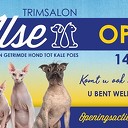 Nieuwe trimsalon in Dalfsen Nieuwe trimsalon in Dalfsen