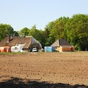 Perfect weer om met een rieten dak bezig te gaan