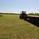 Eerste hooi oogst
