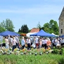 Marktmagie Marktmagie