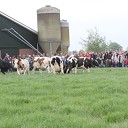 Vliegende koeien op open dag Vliegende koeien op open dag