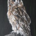 Expositie Cindy Pot in Anjerpunt Hoonhorst
