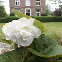 Het Hospice Dalfsen staat er weer mooi bij…