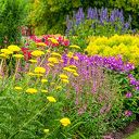 Enquête Leefbaarheid Bloemenbuurt Dalfsen Enquête Leefbaarheid Bloemenbuurt Dalfsen