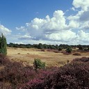 Inloopbijeenkomst natuurherstel Lemelerberg 13 juni Inloopbijeenkomst natuurherstel Lemelerberg 13 juni