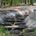 Het wordt steeds mooier