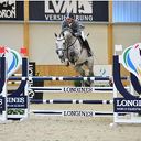 Concours hippique Concours hippique