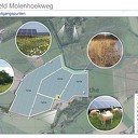 Inloop -Informatieavond over Zonneweide Molenhoekweg Dalfsen Inloop -Informatieavond over Zonneweide Molenhoekweg Dalfsen