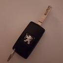 Peugeotsleutel gevonden! Peugeotsleutel gevonden!