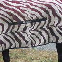 Een zebra in Dalfsen? Een zebra in Dalfsen?
