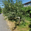 Het klopt Het klopt