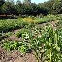 Zomertijd op de Lindehoeve Zomertijd op de Lindehoeve