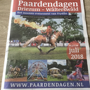 Paardenliefhebbers opgelet Paardenliefhebbers opgelet