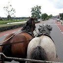 Uitstapje cliënten Rosengaerde Uitstapje cliënten Rosengaerde