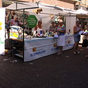 Zonnebloem nieuws