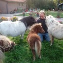 De kleinste pony al weer flink gegroeid De kleinste pony al weer flink gegroeid