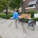 Pompoenen te koop