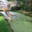 De droogte eist zijn tol in de natuur De droogte eist zijn tol in de natuur