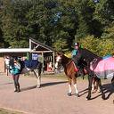 Bianca Schipper: 200 kilometer te paard voor goed doel