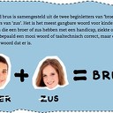 Brussengroep in Dalfsen