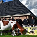 Sallands Bakfeest komt eraan, en jij kan daarbij zijn! Sallands Bakfeest komt eraan, en jij kan daarbij zijn!
