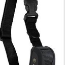 Verloren hondenhalsband Verloren hondenhalsband