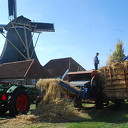 Dorsdemonstratie bij de Westermolen Dorsdemonstratie bij de Westermolen