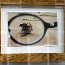 Nieuwe expositie in vitrines Eshuissstraat