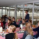Schoolontbijt met uitzicht op de biggetjes en varkens bij de Varkenshoff Schoolontbijt met uitzicht op de biggetjes en varkens bij de Varkenshoff