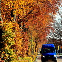Nog meer prachtige herfstfoto’s Nog meer prachtige herfstfoto’s