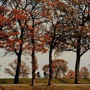 Prachtige natuurfoto’s
