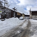 Wintergroet Wintergroet