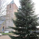 Tranende kerstboom Tranende kerstboom