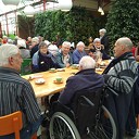 Zonnebloem naar Tuinland Zonnebloem naar Tuinland