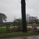 Pop aan de wandel