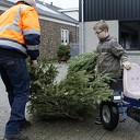 Record inzameling kerstbomen Record inzameling kerstbomen