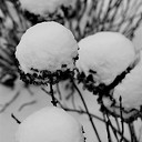Prachtige winterbeelden van Ben Jonkman Prachtige winterbeelden van Ben Jonkman
