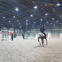 Tuinexpo in de grote manegehallen
