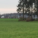 Grune Jopie ziet Zwarte ree Grune Jopie ziet Zwarte ree