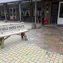 Het voorjaar komt er plotseling aan