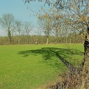 Zo groen als gras Zo groen als gras