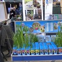 Tuinexpo Salland in Luttenberg. (Video)