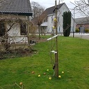 De appel viel niet ver van de boom: nu nog 2 De appel viel niet ver van de boom: nu nog 2