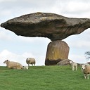 Lammetjes huppelen vrolijk rond bij de Zwevende Kei Lammetjes huppelen vrolijk rond bij de Zwevende Kei
